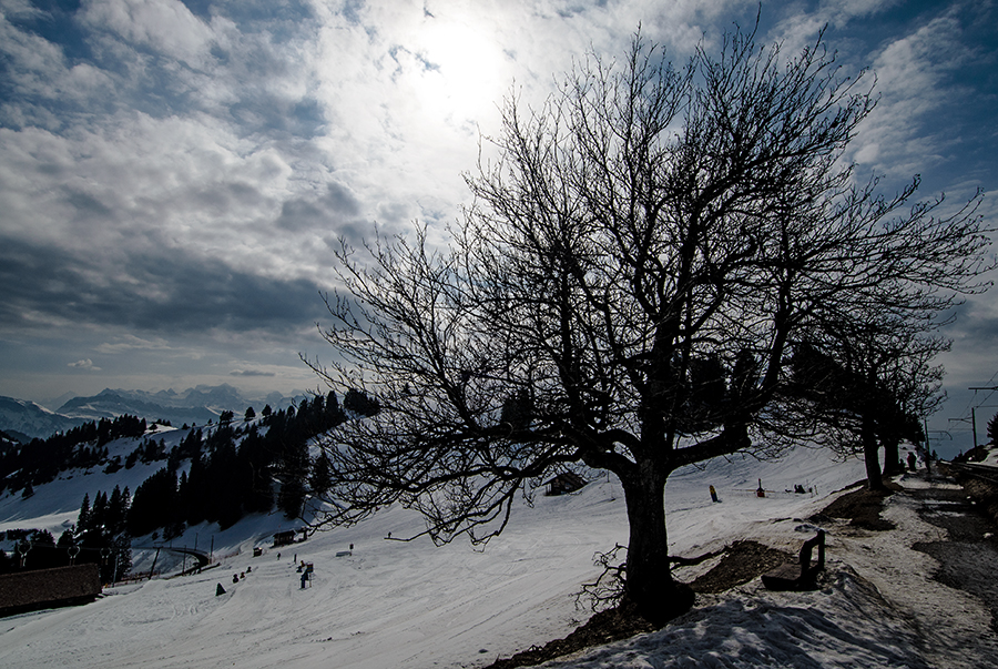 Mt. Rigi