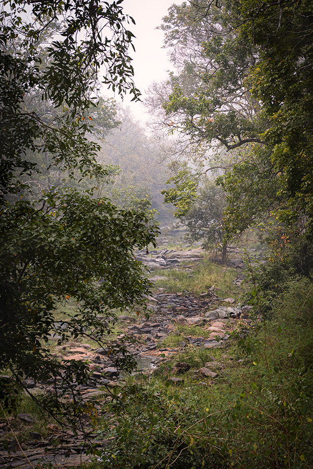 Nagarahole Tiger Reserve