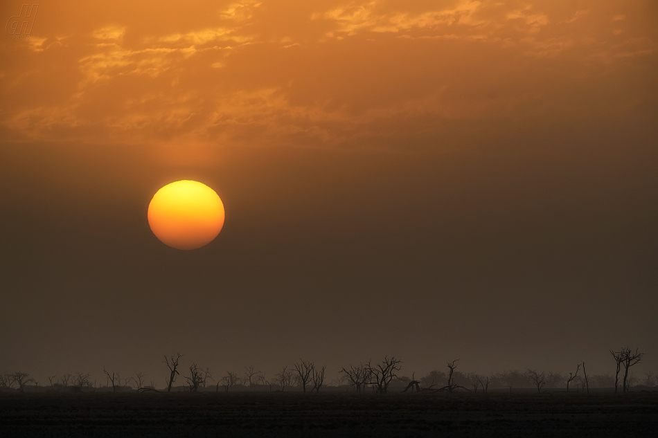 Sossusvlei