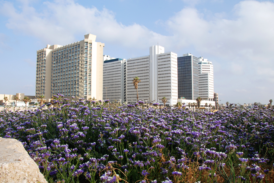 Tel Aviv