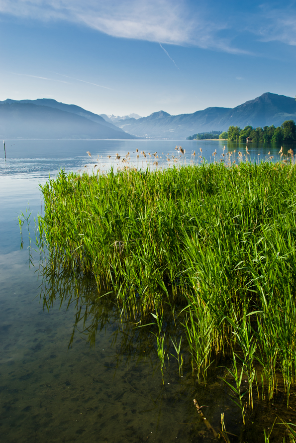 Zugské jezero