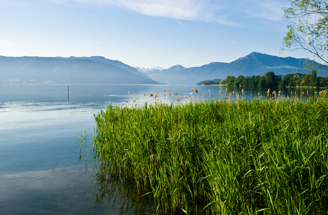 Zugské jezero