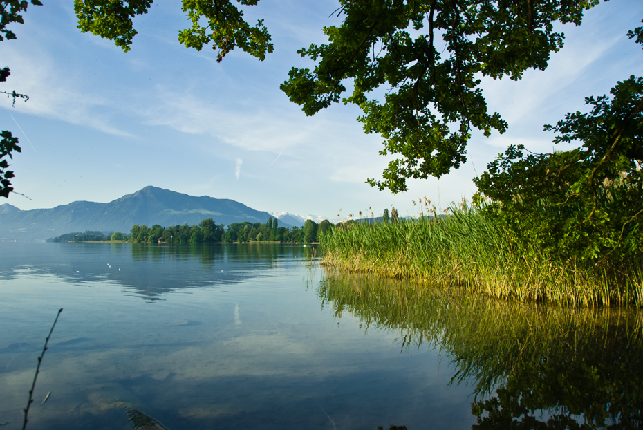 Zugské jezero