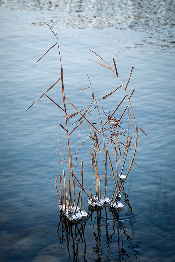 Zugské jezero