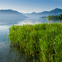 Zugské jezero