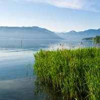 Zugské jezero