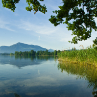 Zugské jezero