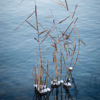 Zugské jezero